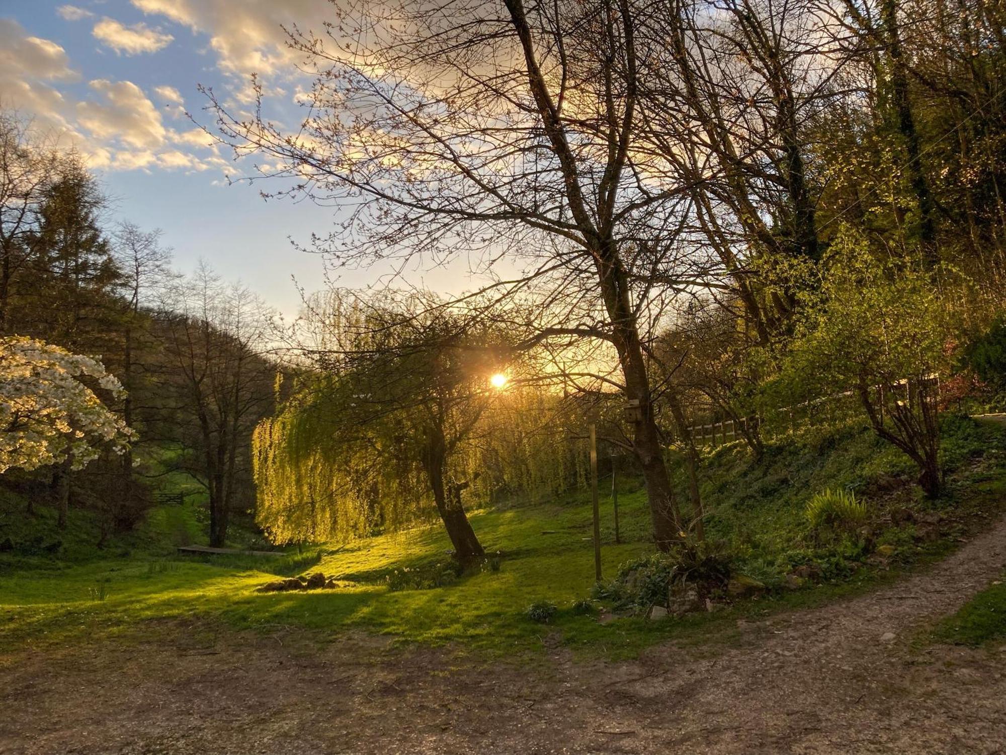 Driftcombe Farmhouse Bisley  Zewnętrze zdjęcie